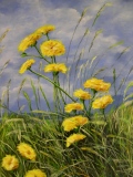 martincagnartiste - Fleurs
