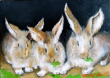martincagnartiste - Animaux