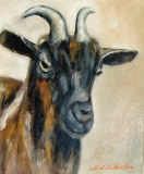 martincagnartiste - Animaux