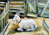 martincagnartiste - Animaux